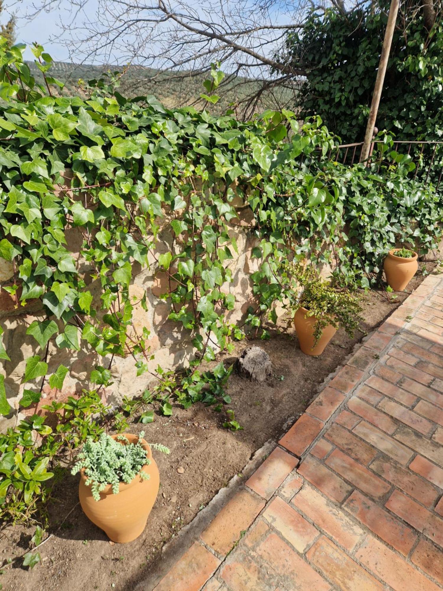 Colonos Alojamientos Rurales Guarromán エクステリア 写真
