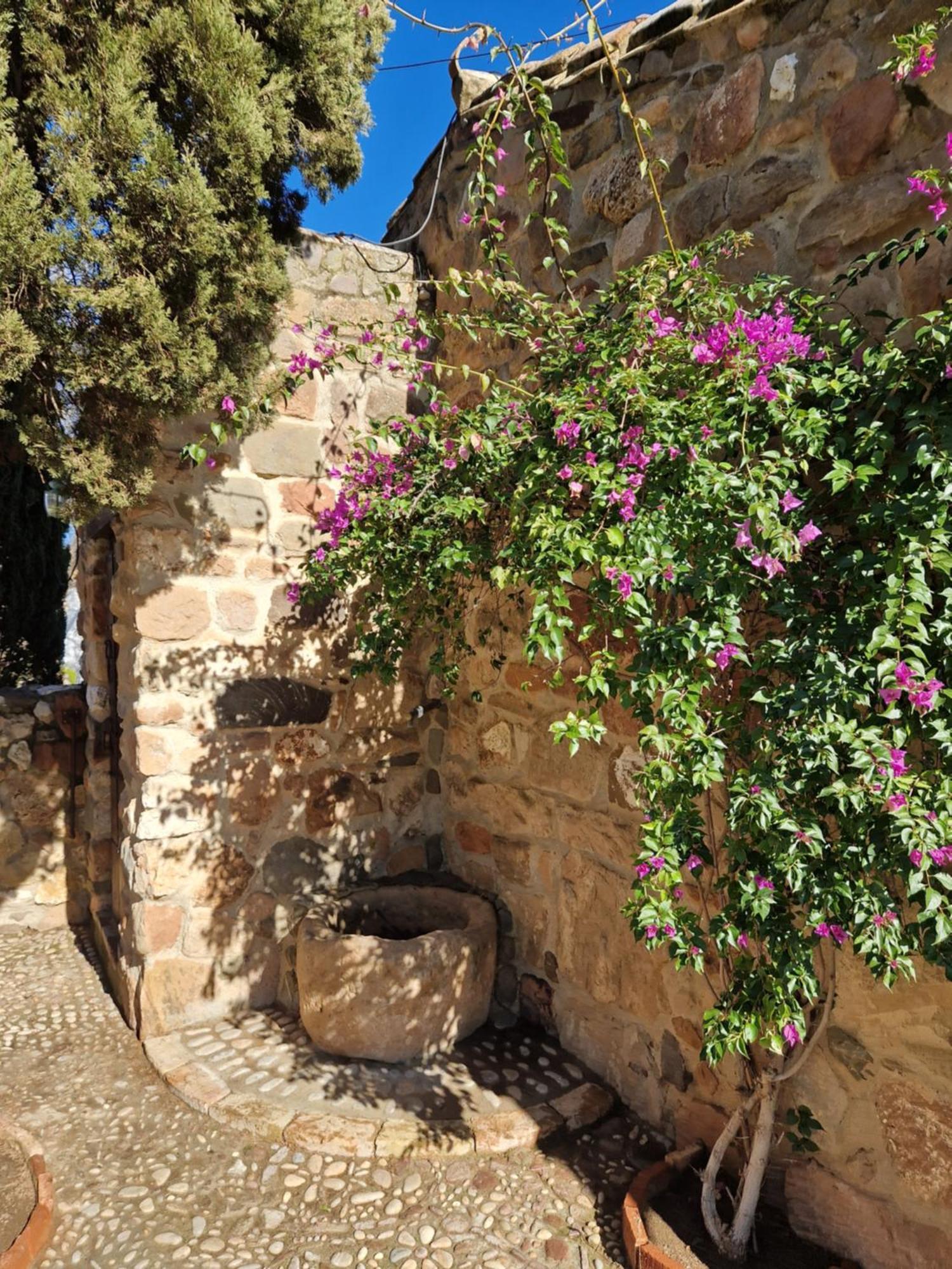 Colonos Alojamientos Rurales Guarromán エクステリア 写真